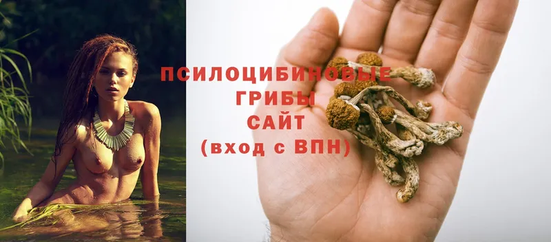 Галлюциногенные грибы Magic Shrooms  где продают наркотики  MEGA зеркало  Старая Купавна 